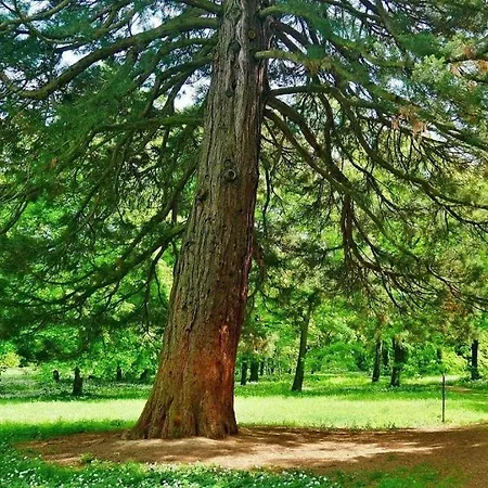 Agropenzion 7divov بيت ضيافة 3*