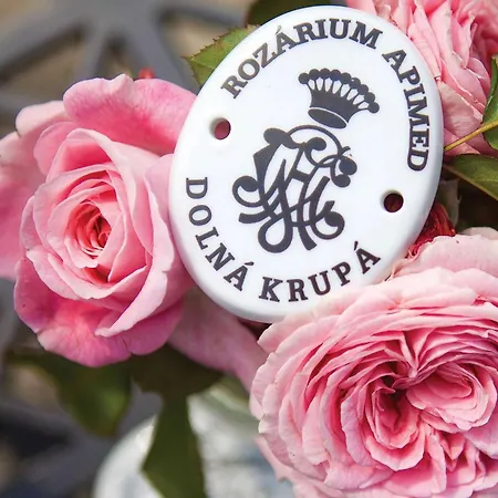 Agropenzion 7divov بيت ضيافة