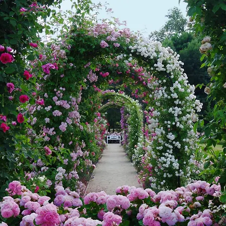 بيت ضيافة Agropenzion 7divov Dolna Krupa