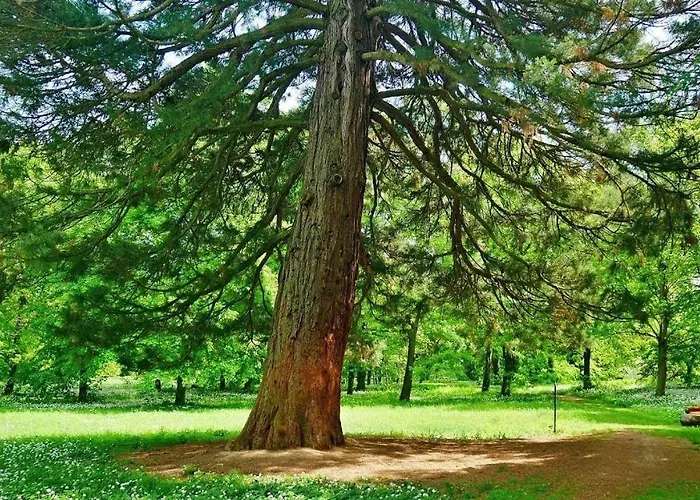 Agropenzion 7divov Casa de hóspedes 3*